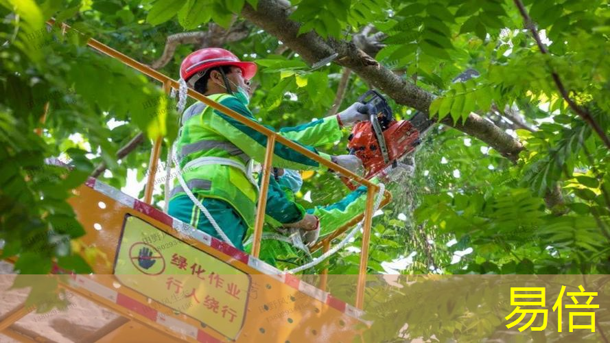 青浦区绿化工程施工队