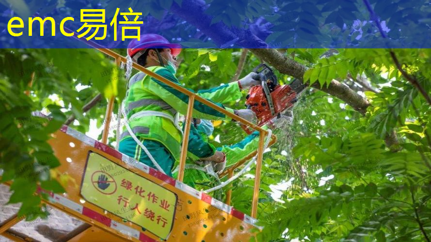 停车场能不能算绿化工程