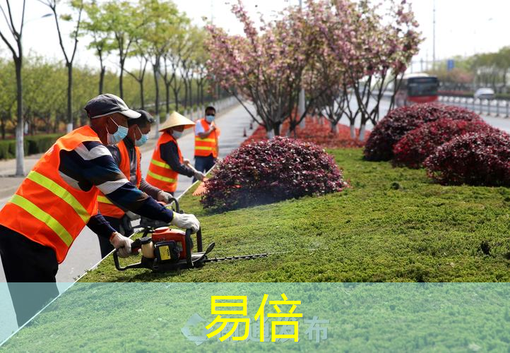文溪路绿化工程招标公示