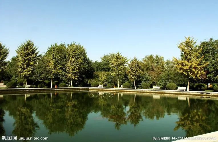 开远城市绿化带种植什么植物好