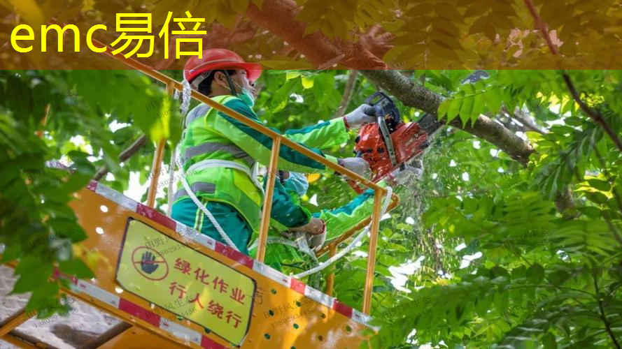 永城市政绿化招聘