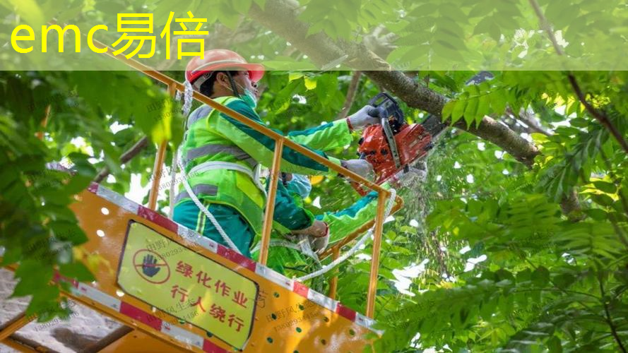 新密市园林绿化工程公司