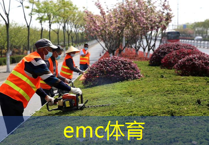 武夷山政绿化招标公告网