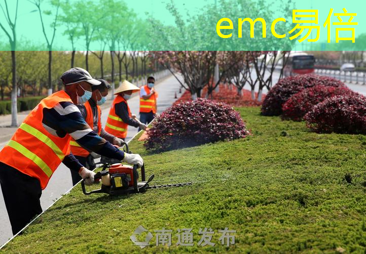 新蔡县人民路绿化工程