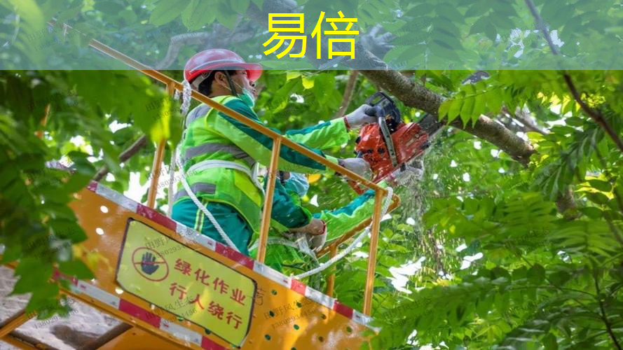 兰州天源9号绿化工程