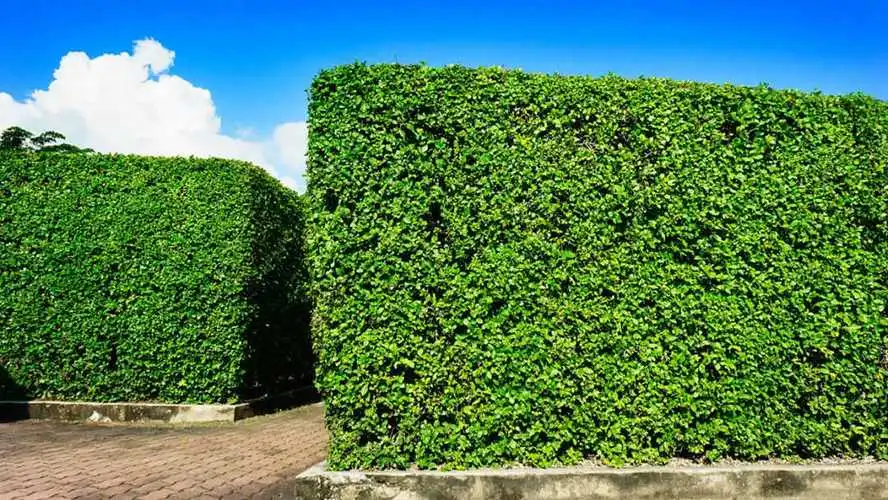 古建筑园林景观设计案例