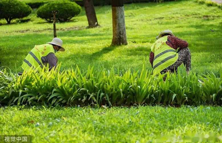 现代广场园林景观设计