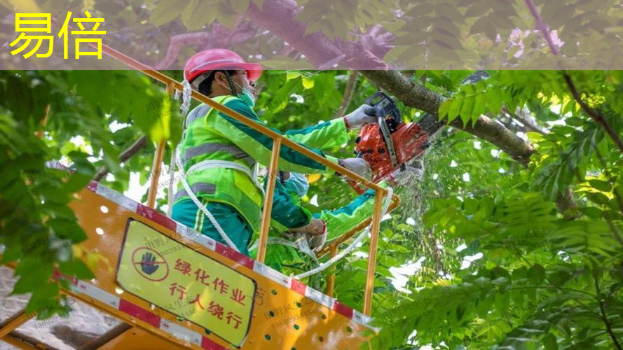 佛山珠海园林绿化工程与养护