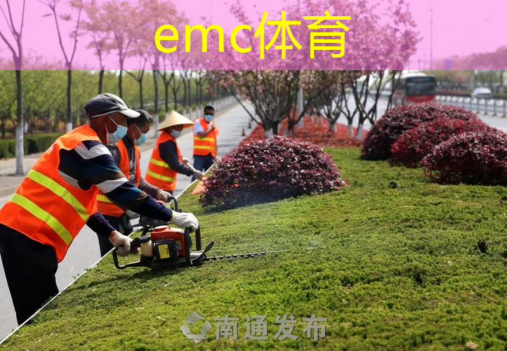 切实解决园林管理中的问题，提升绿化美丽程度