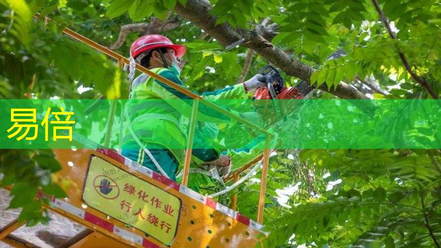 怎么玩绿化工程