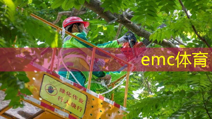 沥青路面绿化工程施工方案
