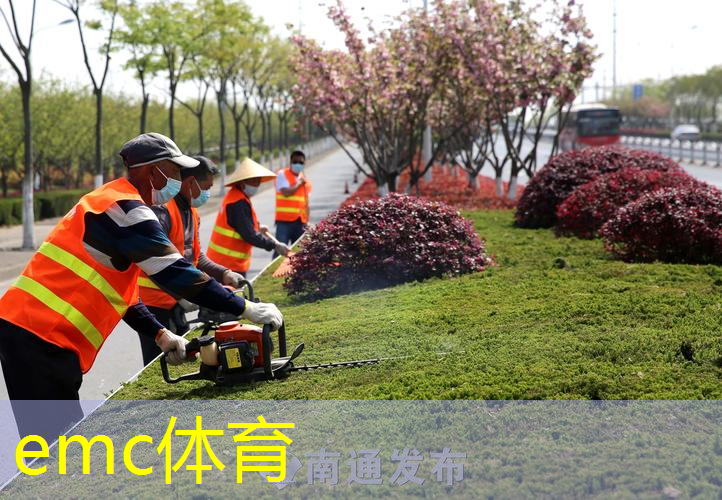 市政园林管理需加强专业人才队伍建设以应对新挑战