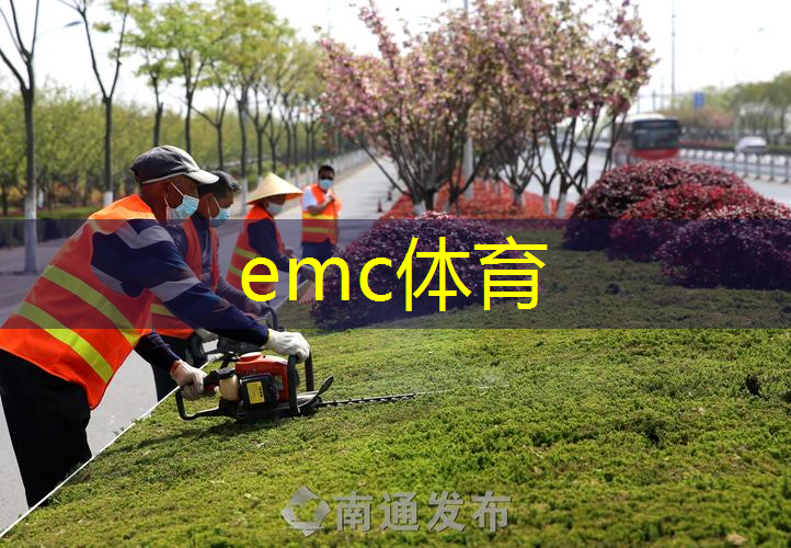 东明县东王庄绿化工程