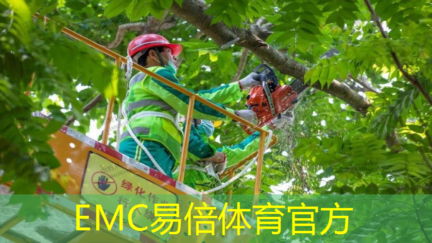 山南市泽当绿化工程项目