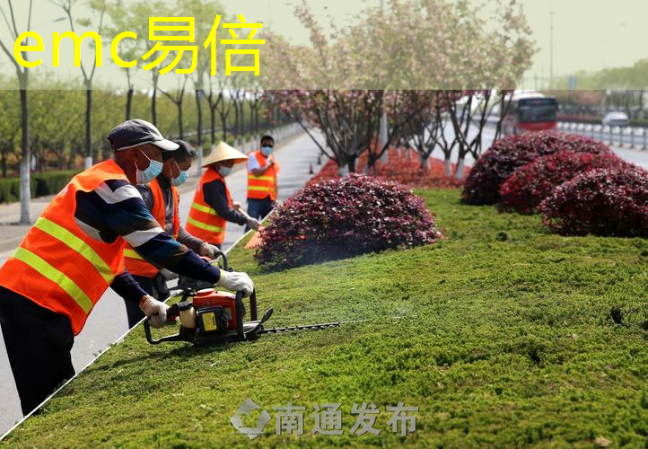 广州生态保护取得卓越成效 海珠湿地鸟类种类增至201种
