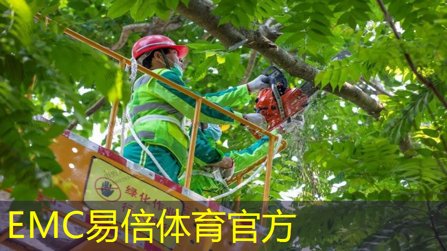 别墅园林景观设计树