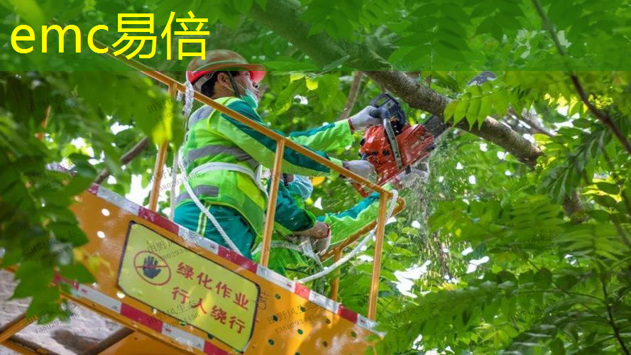 园林设施管理混乱：座椅破损、绿化遭损毁严重影响市民休闲