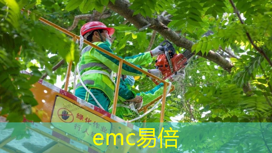 亳蒙二期高速绿化工程项目