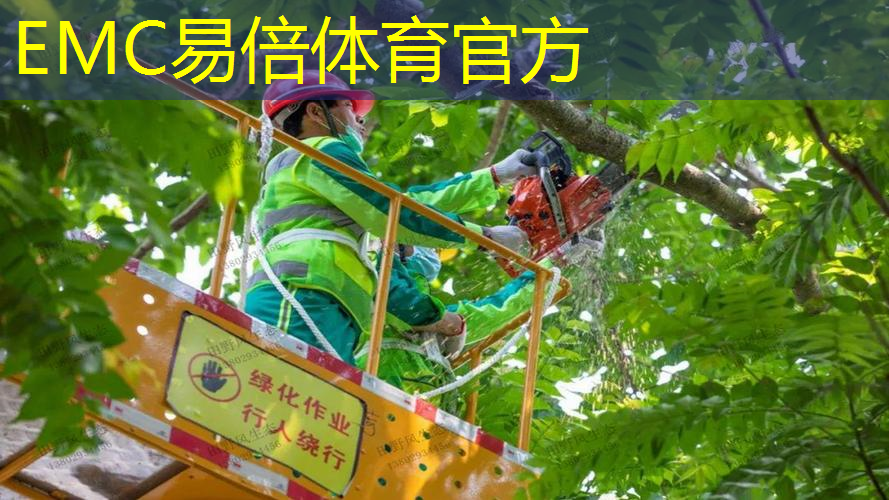香港为何重视绿化工程建设