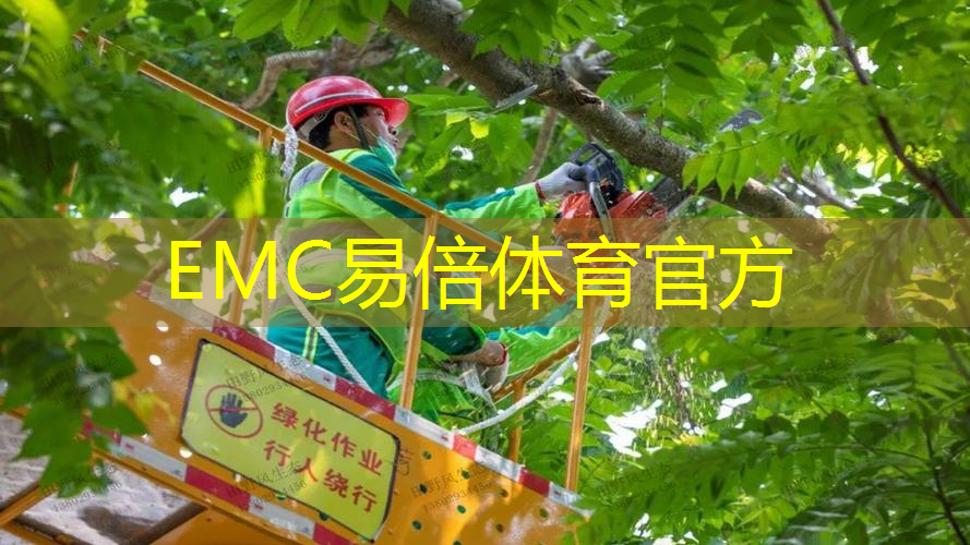 即墨绿化工程开始装车