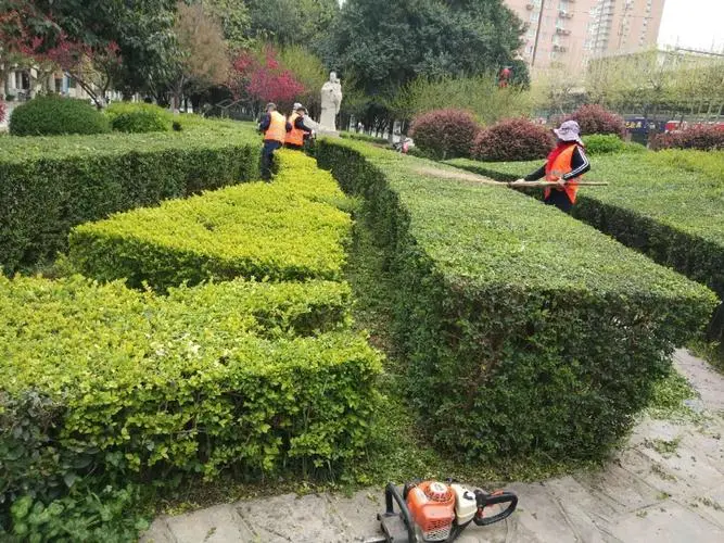 铜川城市园林绿化工程哪家好