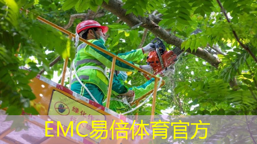 大喜盈森园林景观设计