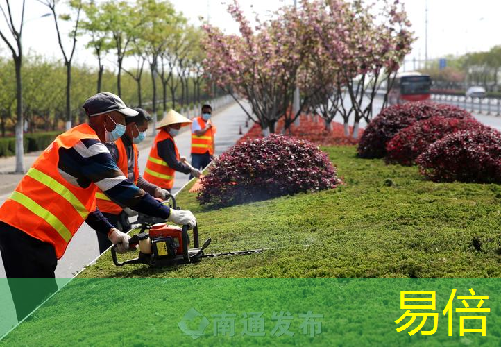 园林绿化工程养护工作要点