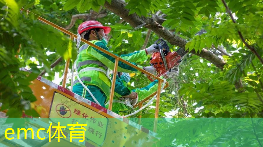 绿化工程哪些需要做隐蔽工程
