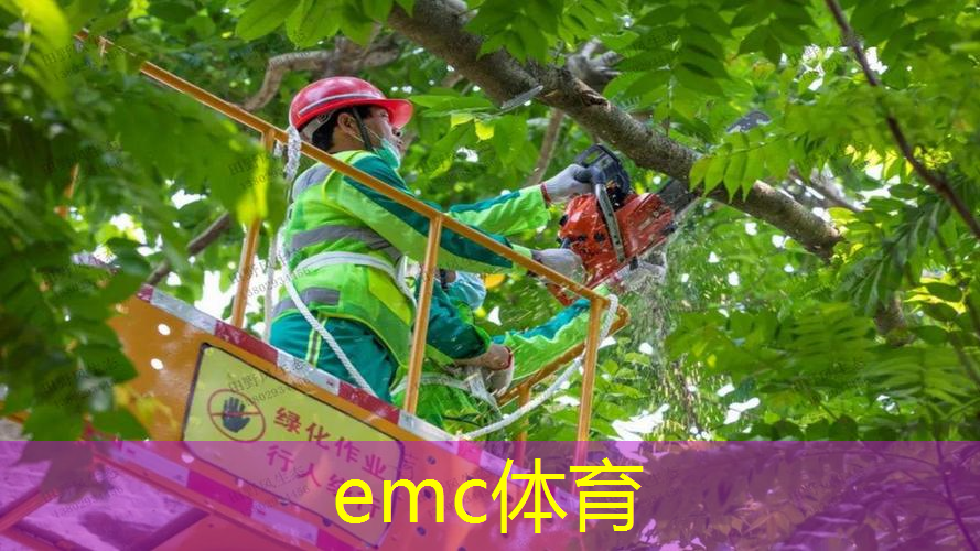 园林保养你应该知道的常见问题：如何避免常见病害的侵袭？