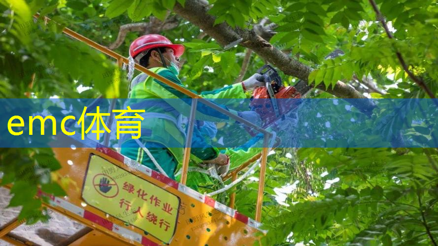 周口别野园林景观绿化工程施工队