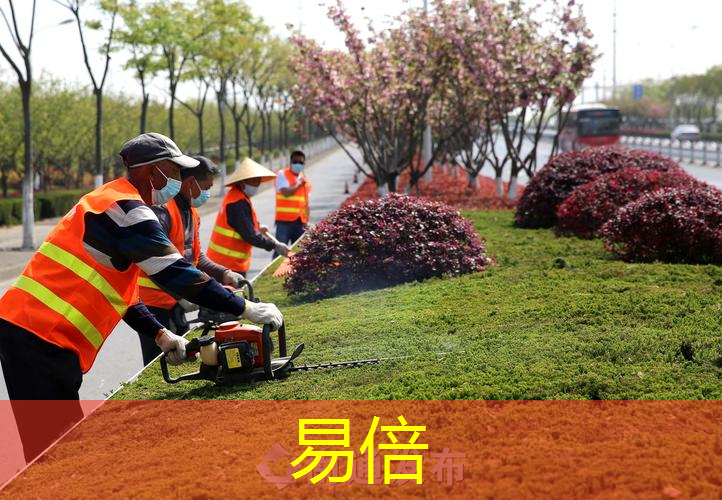 10平米园林景观设计