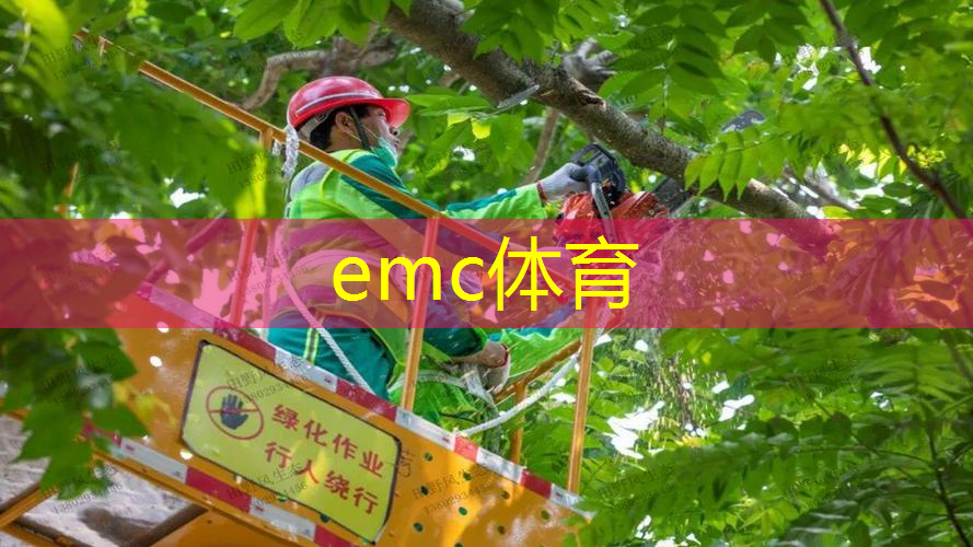 沈阳园林绿化工程资质合作